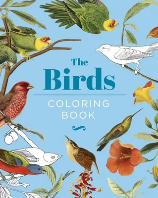 Kolorowanka Ptaki: Wydanie upominkowe w twardej oprawie - The Birds Coloring Book: Hardback Gift Edition