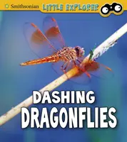 Pędzące ważki - Dashing Dragonflies