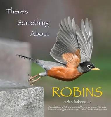 Coś jest na rzeczy - There's Something About Robins