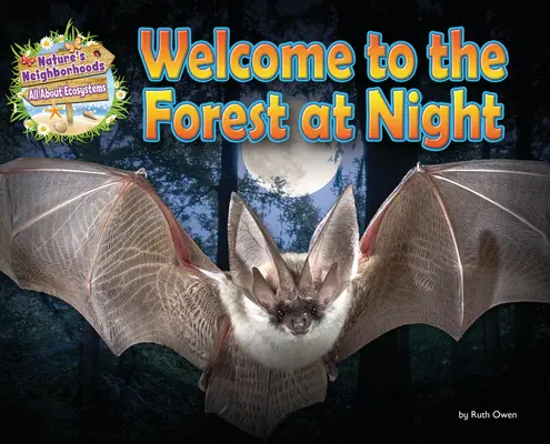 Witamy w lesie nocą - Welcome to the Forest at Night