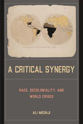 Krytyczna synergia: Rasa, dekolonialność i światowe kryzysy - A Critical Synergy: Race, Decoloniality, and World Crises