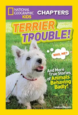 Terrier Trouble!: I więcej prawdziwych historii o zwierzętach zachowujących się źle - Terrier Trouble!: And More True Stories of Animals Behaving Badly