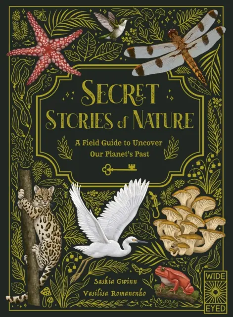 Sekretne historie natury - przewodnik terenowy pozwalający odkryć przeszłość naszej planety - Secret Stories of Nature - A Field Guide to Uncover Our Planet's Past