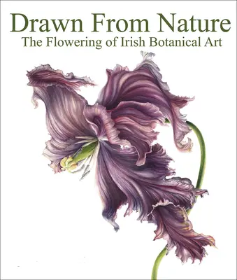 Zaczerpnięte z natury: Rozkwit irlandzkiej sztuki botanicznej - Drawn from Nature: The Flowering of Irish Botanical Art