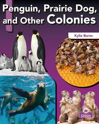 Pingwin, piesek preriowy i inne kolonie - Penguin, Prairie Dog, and Other Colonies