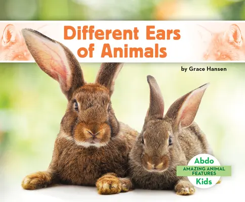 Różne uszy zwierząt - Different Ears of Animals