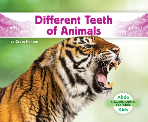 Różne zęby zwierząt - Different Teeth of Animals