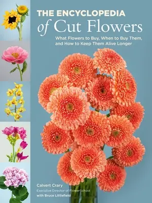 Encyklopedia kwiatów ciętych: Jakie kwiaty kupować, kiedy je kupować i jak utrzymać je dłużej przy życiu - The Encyclopedia of Cut Flowers: What Flowers to Buy, When to Buy Them, and How to Keep Them Alive Longer