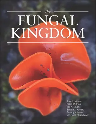 Grzybowe królestwo - The Fungal Kingdom