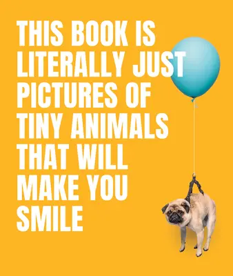 Ta książka to dosłownie zdjęcia małych zwierząt, które sprawią, że się uśmiechniesz - This Book Is Literally Just Pictures of Tiny Animals That Will Make You Smile