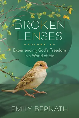 Rozbite soczewki Tom 3: Doświadczanie Bożej wolności w świecie grzechu - Broken Lenses Volume 3: Experiencing God's Freedom in a World of Sin