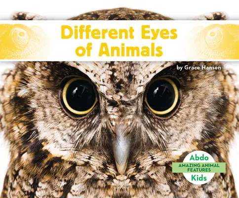 Różne oczy zwierząt - Different Eyes of Animals