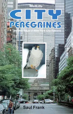 City Peregrines: Dziesięcioletnia saga nowojorskich sokołów - City Peregrines: A Ten-Year Saga of New York Falcons