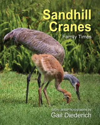 Żurawie piaskowe, czasy rodzinne - Sandhill Cranes, Family Times