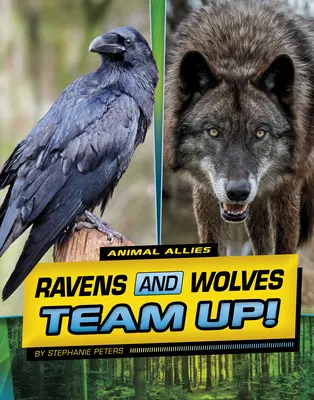 Kruki i wilki łączą siły! - Ravens and Wolves Team Up!
