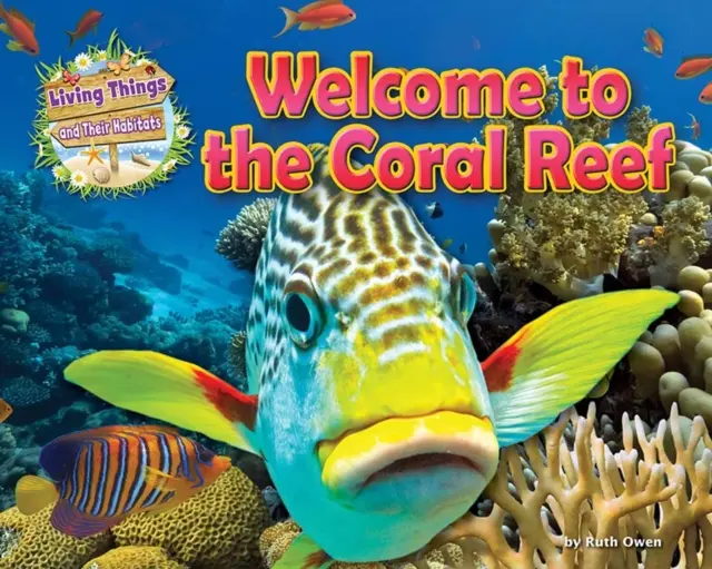 Witamy na rafie koralowej - Welcome to the Coral Reef