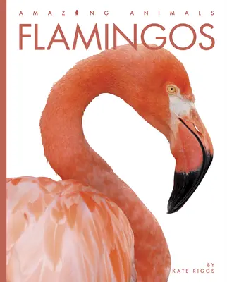 Flamingi - Flamingos