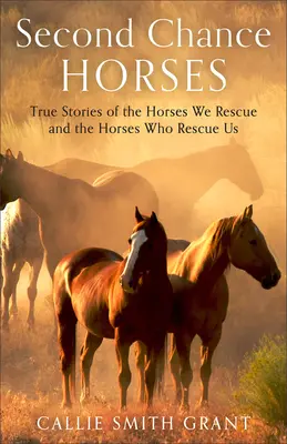 Konie drugiej szansy: Prawdziwe historie koni, które ratujemy i koni, które ratują nas - Second-Chance Horses: True Stories of the Horses We Rescue and the Horses Who Rescue Us