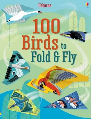 100 ptaków do składania i latania - 100 Birds to Fold and Fly