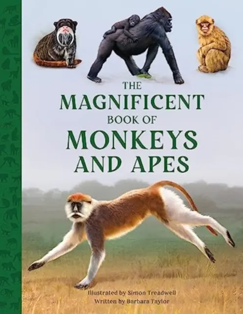 Wspaniała księga małp i małpiatek - Magnificent Book of Monkeys and Apes