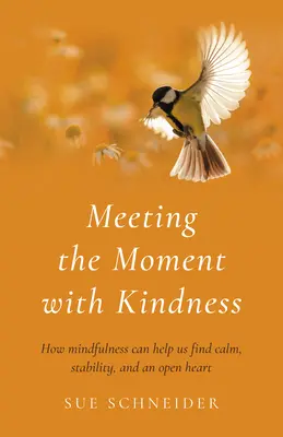 Spotkanie z chwilą z życzliwością: Jak uważność może pomóc nam znaleźć spokój, stabilność i otwarte serce - Meeting the Moment with Kindness: How Mindfulness Can Help Us Find Calm, Stability, and an Open Heart