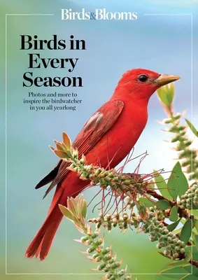 Birds & Blooms Ptaki o każdej porze roku: Pielęgnuj pierzaste muchy na swoim podwórku przez cały rok - Birds & Blooms Birds in Every Season: Cherish the Feathered Flyers in Your Yard All Year Long