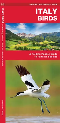 Ptaki Włoch - składany kieszonkowy przewodnik po znanych gatunkach - Italy Birds - A Folding Pocket Guide to Familiar Species