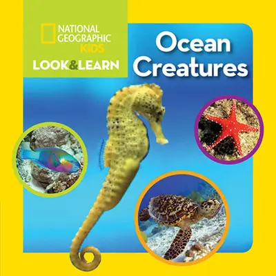 National Geographic Kids Patrz i ucz się: Stworzenia oceanów - National Geographic Kids Look and Learn: Ocean Creatures