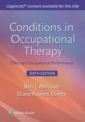 Warunki w terapii zajęciowej: Wpływ na wydajność zawodową - Conditions in Occupational Therapy: Effect on Occupational Performance