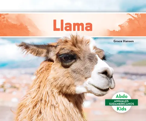 Lama - Llama