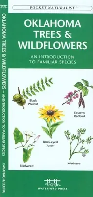 Virginia Trees & Wildflowers: Wprowadzenie do znanych gatunków - Virginia Trees & Wildflowers: An Introduction to Familiar Species