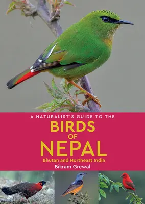 Przewodnik przyrodnika po ptakach Nepalu - A Naturalist's Guide to the Birds of Nepal