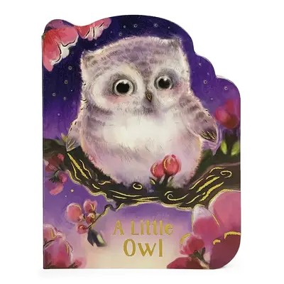 Mała sowa - A Little Owl