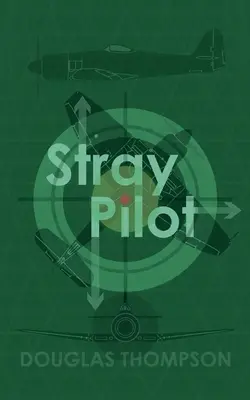 Zabłąkany pilot - Stray Pilot