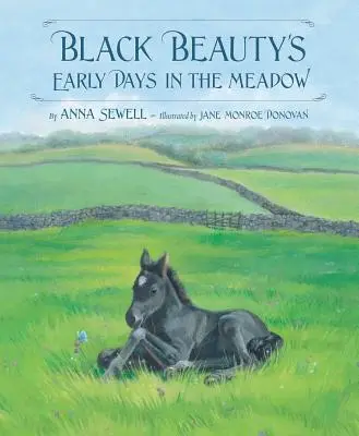 Wczesne dni Black Beauty na łące - Black Beauty's Early Days in the Meadow