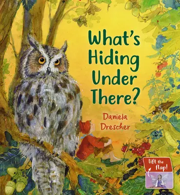 Co się tam kryje? Magiczna książka z podnoszoną klapką - What's Hiding Under There?: A Magical Lift-The-Flap Book