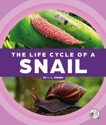 Cykl życia ślimaka - The Life Cycle of a Snail