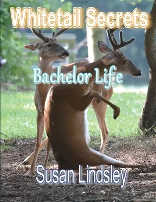 Sekrety Whitetail: Życie kawalerskie - Whitetail Secrets: Bachelor Life