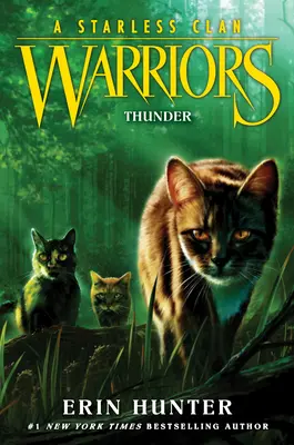 Wojownicy: Bezgwiezdny klan #4: Grom - Warriors: A Starless Clan #4: Thunder