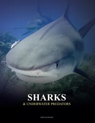 Rekiny i podwodne drapieżniki - Sharks & Underwater Predators