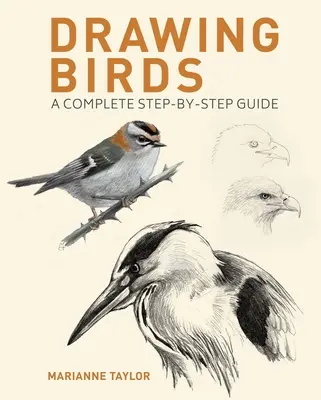 Rysowanie ptaków: Kompletny przewodnik krok po kroku - Drawing Birds: A Complete Step-By-Step Guide