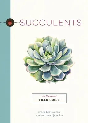 Sukulenty: Ilustrowany przewodnik terenowy - Succulents: An Illustrated Field Guide