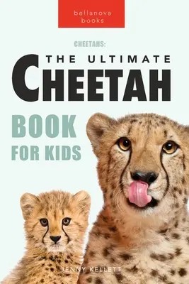 Gepardy: ponad 100 niesamowitych faktów o gepardach, zdjęcia, quiz + więcej - Cheetahs: 100+ Amazing Cheetah Facts, Photos, Quiz + More