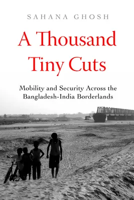 Tysiąc małych cięć: Mobilność i bezpieczeństwo na pograniczu Bangladeszu i Indii Tom 10 - A Thousand Tiny Cuts: Mobility and Security Across the Bangladesh-India Borderlands Volume 10