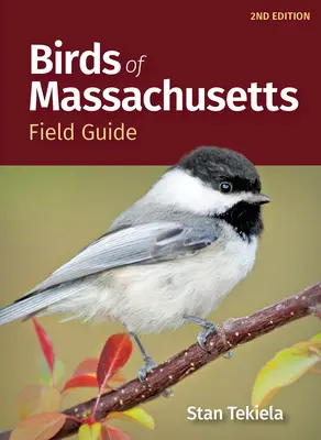 Przewodnik terenowy po ptakach Massachusetts - Birds of Massachusetts Field Guide