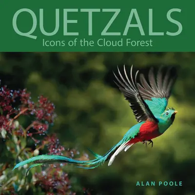 Quetzals: Ikony Lasu Chmurowego - Quetzals: Icons of the Cloud Forest