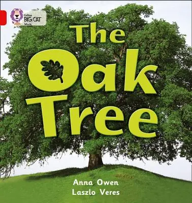 Drzewo dębu - The Oak Tree