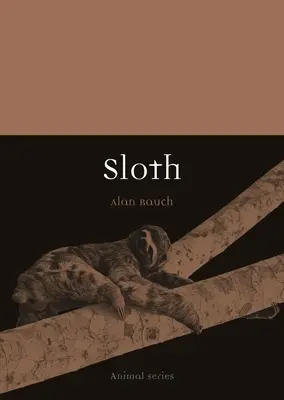 Leniwiec - Sloth