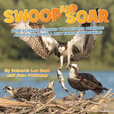 Swoop and Soar: Jak nauka uratowała dwie sieroty rybołowa i znalazła im nową rodzinę na wolności - Swoop and Soar: How Science Rescued Two Osprey Orphans and Found Them a New Family in the Wild