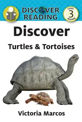 Odkryj żółwie i żółwie - Discover Turtles & Tortoises